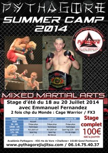 summer camp 2014 MMA
